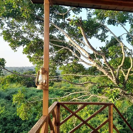 Leopard Nest - Glamping In Yala Hotel Екстериор снимка