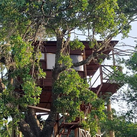 Leopard Nest - Glamping In Yala Hotel Екстериор снимка