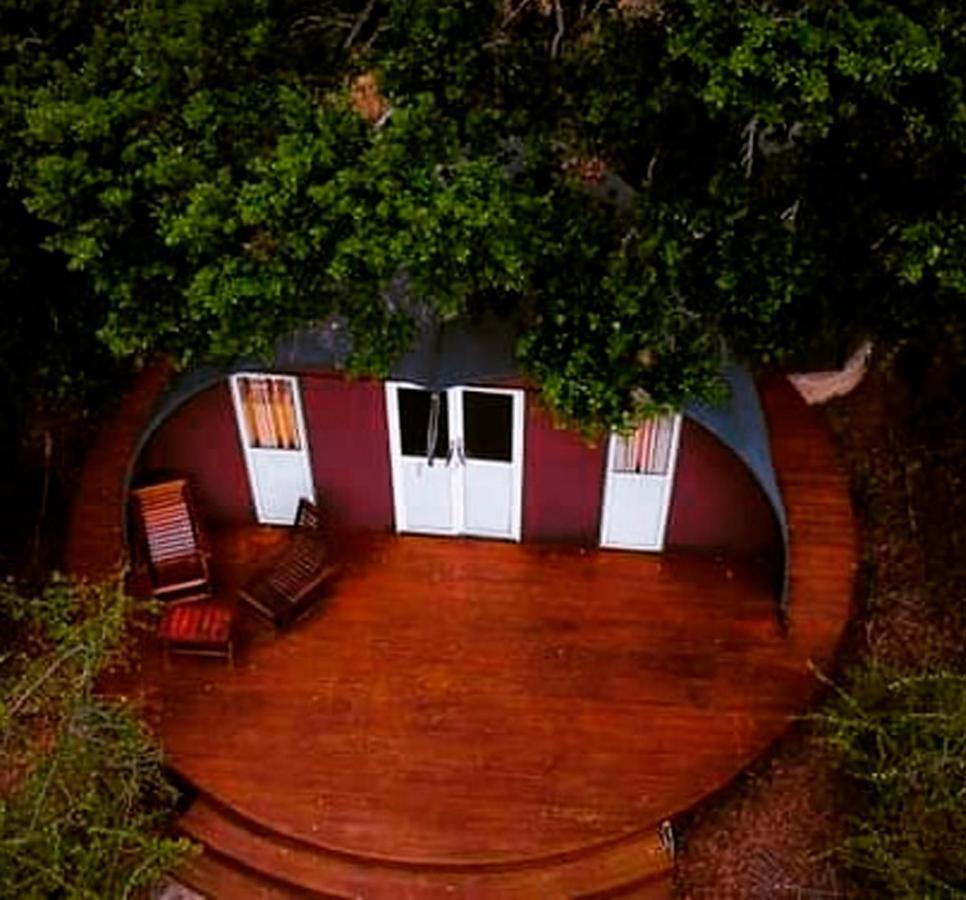 Leopard Nest - Glamping In Yala Hotel Екстериор снимка