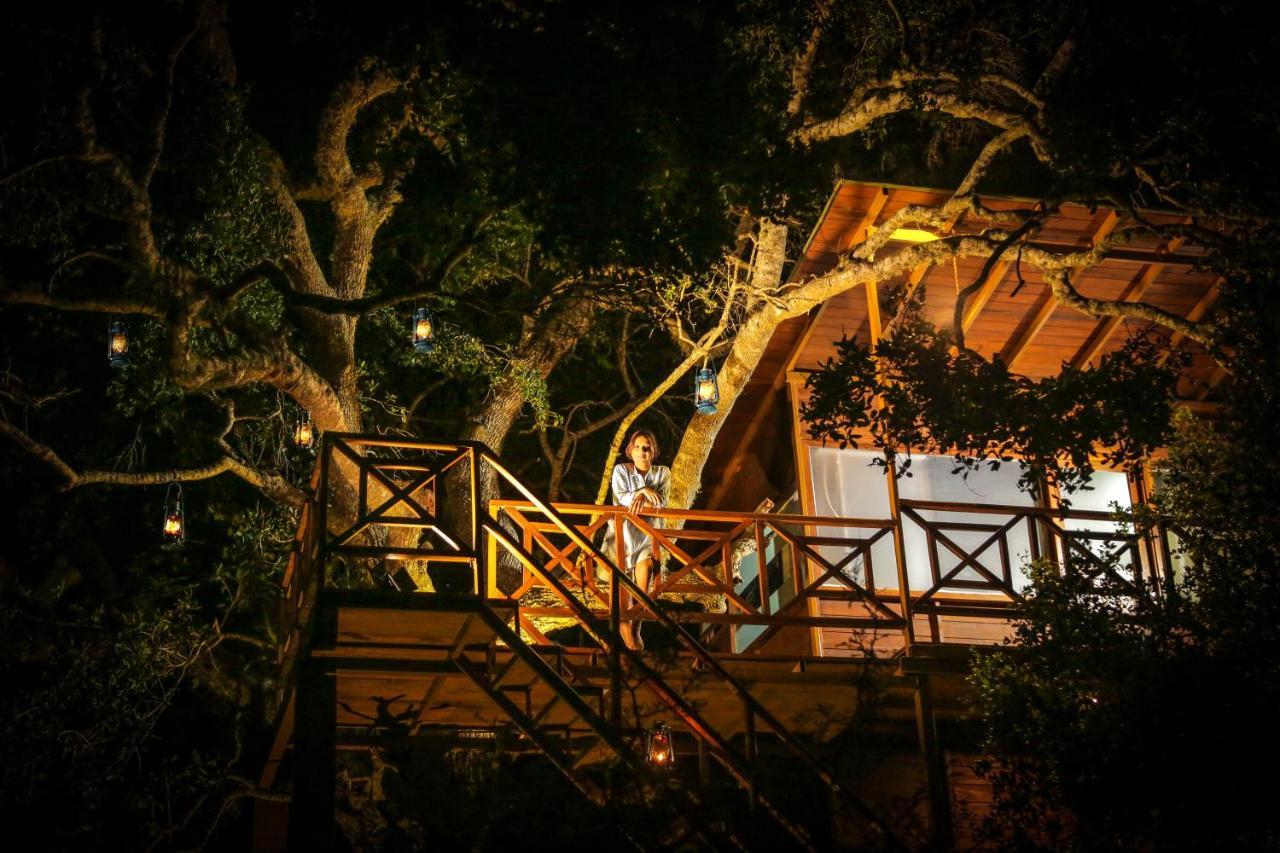 Leopard Nest - Glamping In Yala Hotel Екстериор снимка