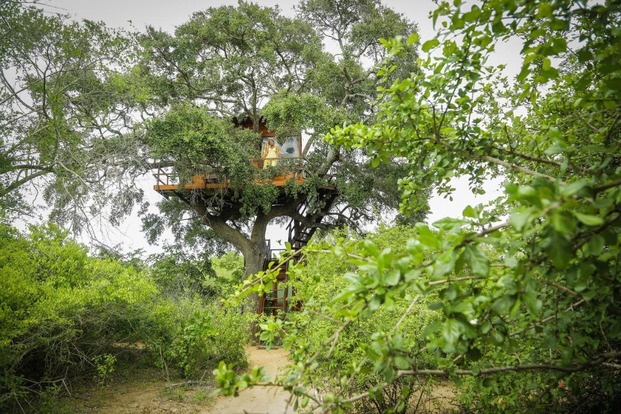Leopard Nest - Glamping In Yala Hotel Екстериор снимка