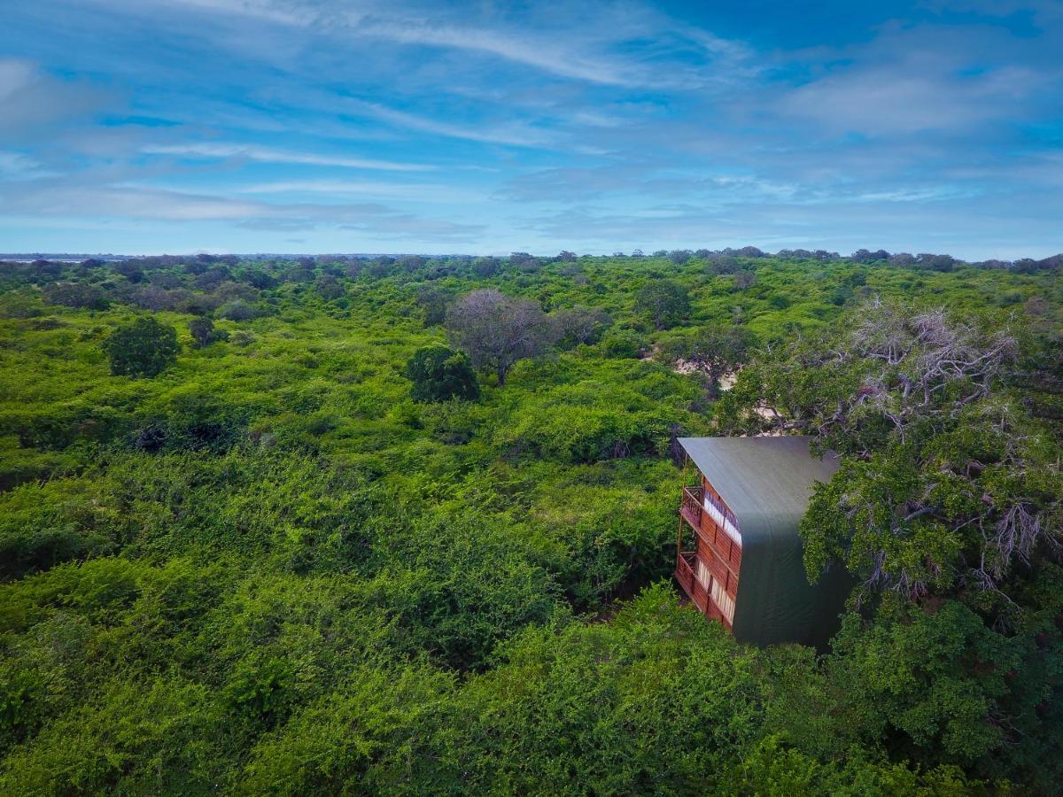 Leopard Nest - Glamping In Yala Hotel Екстериор снимка