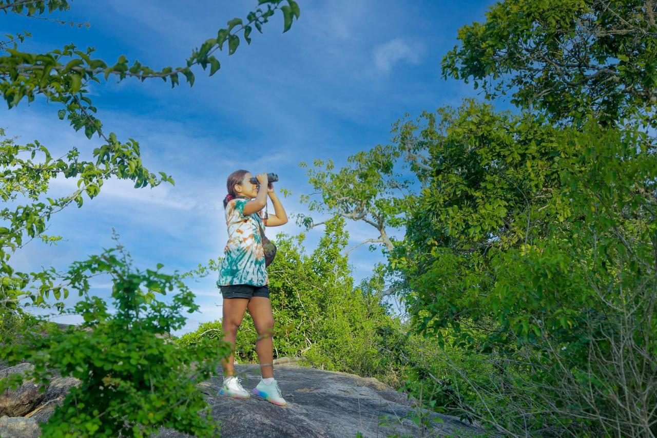 Leopard Nest - Glamping In Yala Hotel Екстериор снимка
