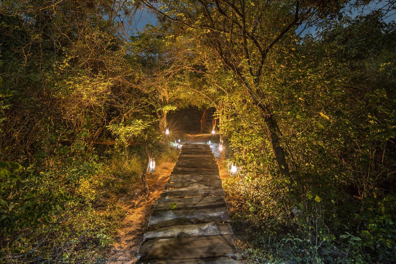 Leopard Nest - Glamping In Yala Hotel Екстериор снимка