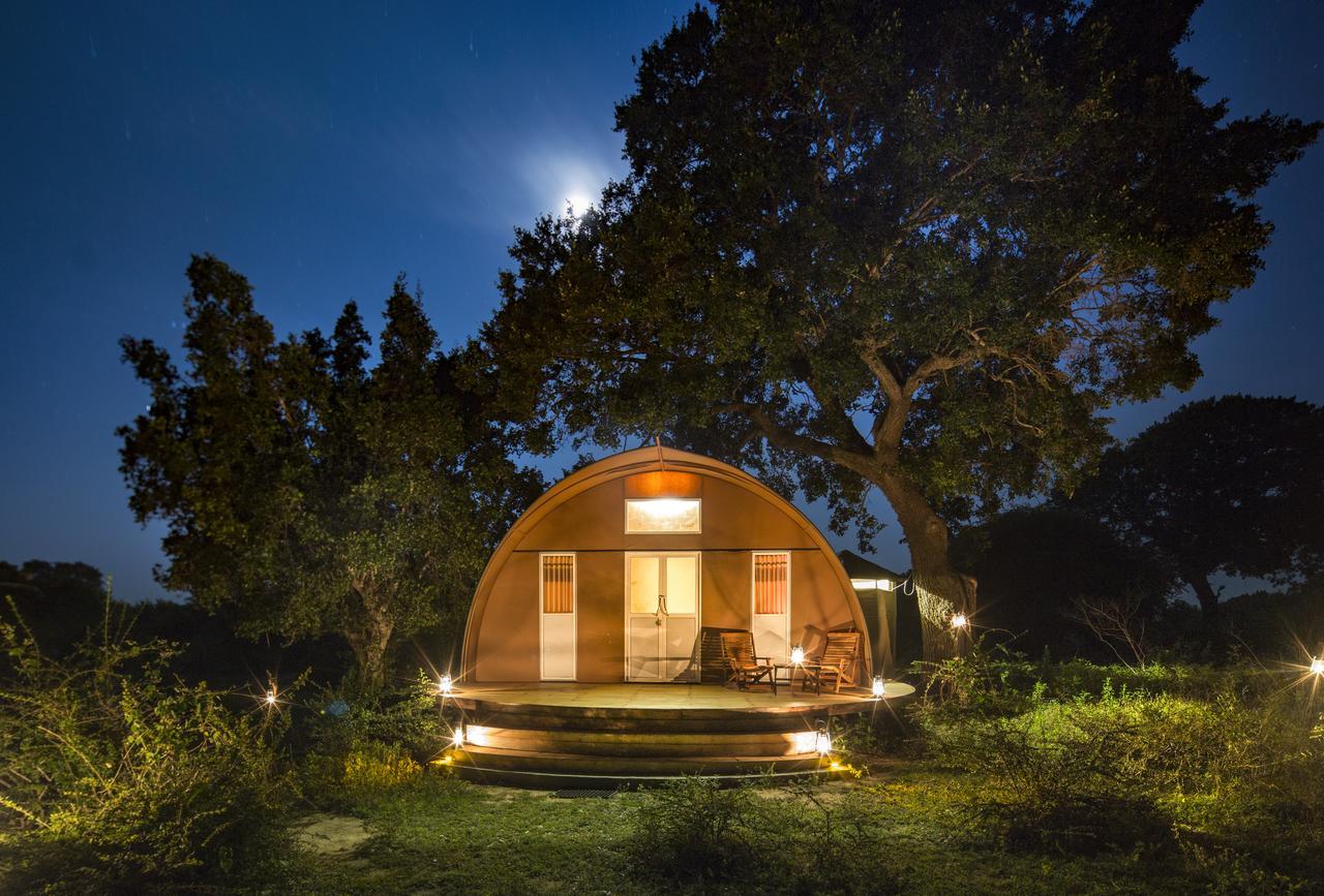 Leopard Nest - Glamping In Yala Hotel Екстериор снимка