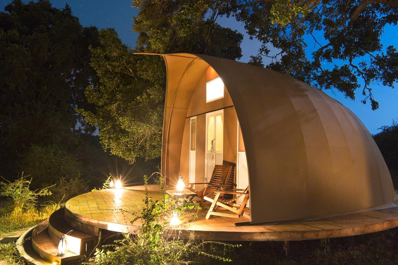 Leopard Nest - Glamping In Yala Hotel Екстериор снимка