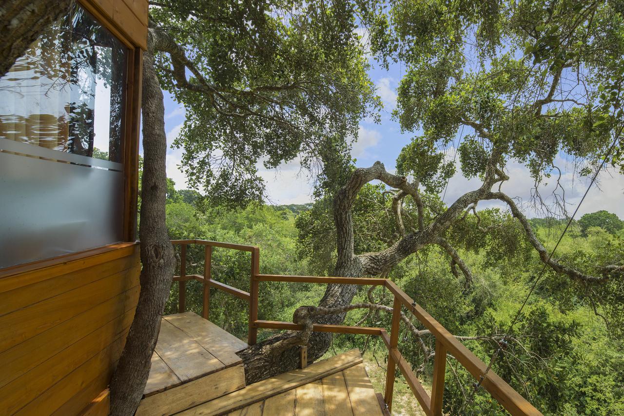Leopard Nest - Glamping In Yala Hotel Екстериор снимка