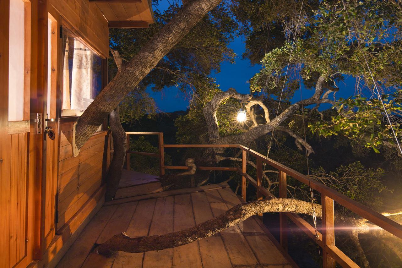 Leopard Nest - Glamping In Yala Hotel Екстериор снимка